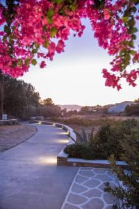 Island House Mare Ios Greece