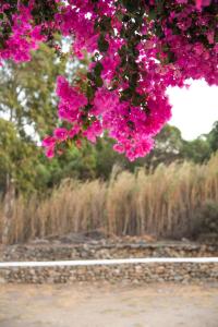 Island House Mare Ios Greece