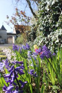 B&B / Chambres d'hotes Manoir de la Foulquetiere : photos des chambres