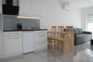 Apartament Miedzianka II