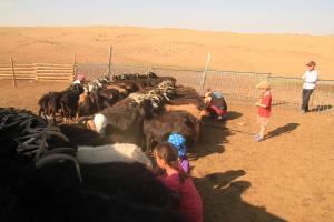 Vast Mongolia Tour & Hostel