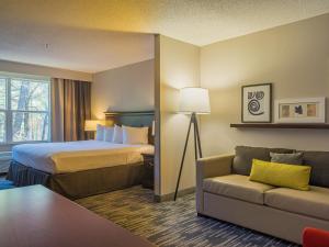 1 King Studio Suite Non-Smoking room in Country Inn & Suites by Radisson Doswell (Kings Dominion) VA