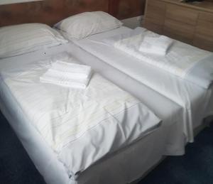 Apartament U Struhařovsk&eacute;ho rybn&iacute;ka Kamenice Czechy