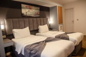 Classic Twin Room room in Sweet Home Suite Hotel