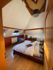 Appart Les Cerises Entre Strasbourg et Haguenau - 比什维莱尔