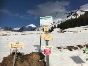 Chalets LE BLANC NORDIQUE : photos des chambres