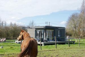 Appartements Cottage tout confort au milieu des chevaux : photos des chambres