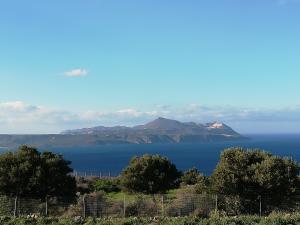 Villa PhenΩmena Apartments