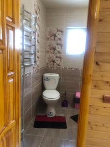 Sadyba Domashniy zatyshok