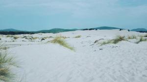 Case vacanza "Gli Ulivi" img27