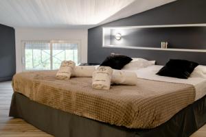 Appart'hotels Residence Dolce Vita de Palombaggia : photos des chambres