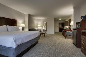 King Suite with Sofa Bed room in Holiday Inn Express Hotel & Suites Middleboro Raynham an IHG Hotel
