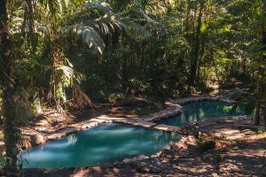Termales del Bosque & Hot Springs