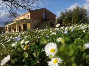 Golden Valley apartment & ranch - Ružići