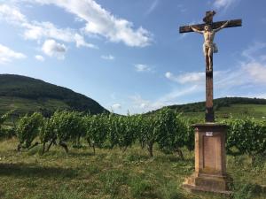 Appartements Au Nid de Cigogne : photos des chambres