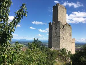 Appartements Au Nid de Cigogne : photos des chambres