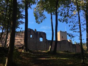 Appartements Au Nid de Cigogne : photos des chambres
