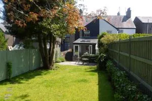 Guillemot - Llangoed