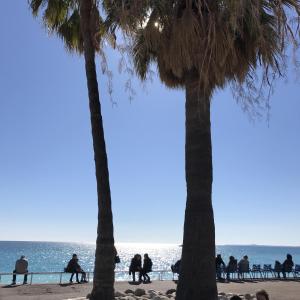 B&B / Chambres d'hotes Chambres d'hotes CASA MUSA - NICE : photos des chambres