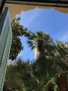 B&B / Chambres d'hotes Chambres d'hotes CASA MUSA - NICE : photos des chambres