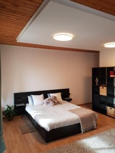 Forest Apartment by Olala Homes