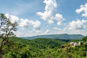 The Blissful Bear Lodge