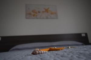 Appartamenti AcquaChiara