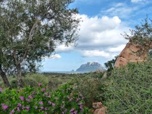 Le Caterine img22