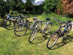 Ferienhaus Nordseerobbe