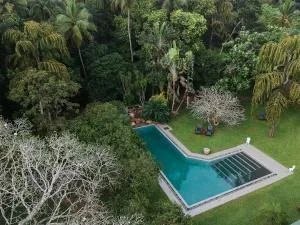 Horathapola Estate - Madampe