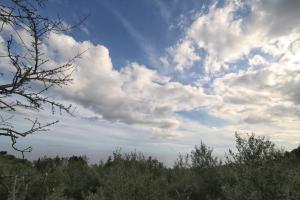 Meltemi Ikaria Greece