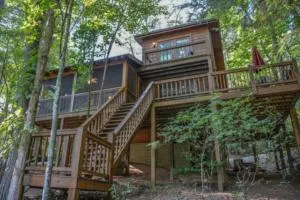 Cherry Acre - Cherry Log