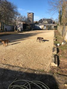 La Gerbe De Ble photo 9