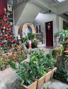 First Baby Bytes Guest House