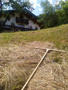 Eckarthof