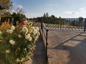 Apartmani Petrovic Tara