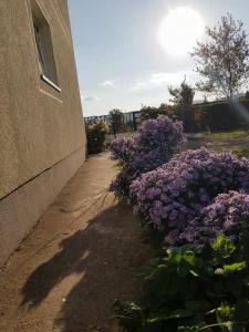 Apartmani Petrovic Tara, Kaludjerske bare