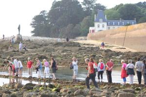 Maisons de vacances BOTOU KOAD, maison 2 ETOILES, WIFI gratuite, la MER, boulangerie, marche quotidien a 100 pas : photos des chambres