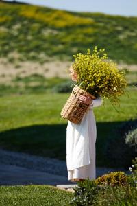 58, Localita' Campo Di Sasso-fraz.bibbona, Bibbona, LI 57020, Italy.