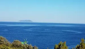 islandescape-bisevo - 比舍沃岛