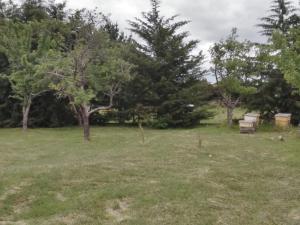 Cabañas Troncos de Alerce en Puerto Montt con tinaja caliente