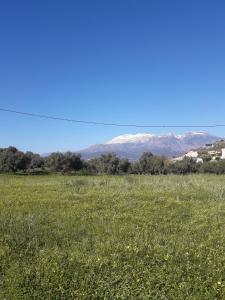 Knossos Apartments Heraklio Greece