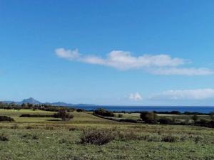 Fattoria di Anja e Marco img36