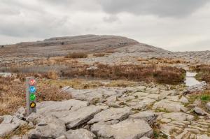 Hotel Woodstock Ennis