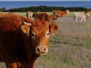 Fattoria di Anja e Marco img32