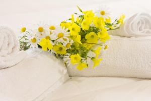 La Casa dell Olivo img25