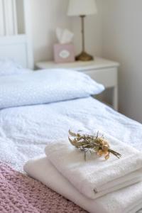 Apartmány Lesy a Lúky - V srdci Tatier