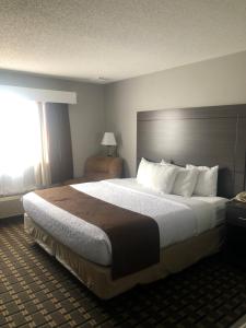 Adams Inn and Suites