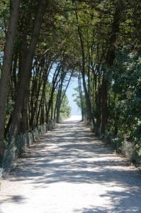 Club del Sole Adriano Family Collection