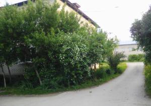 Домашний Уют в Тарусе - Таруса